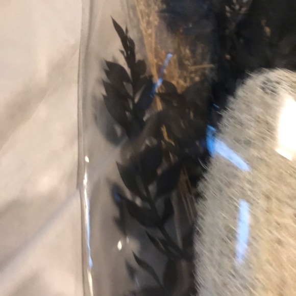 Dried Florals Black Faux Floral Arrangement in Black & Beige NEW FINAL SALE - Picture 2 of 3